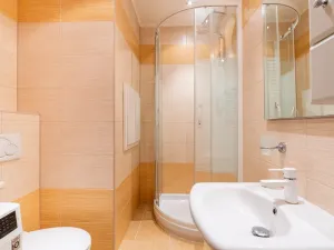 Prodej bytu 2+kk, Teplice - Trnovany, U Červeného kostela, 43 m2