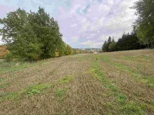 Prodej pozemku, Nová Ves u Mladé Vožice, 2376 m2