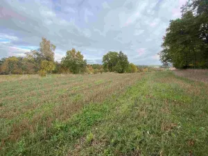 Prodej pozemku, Nová Ves u Mladé Vožice, 2376 m2