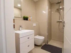 Pronájem bytu 2+kk, Praha - Vinohrady, Perucká, 40 m2