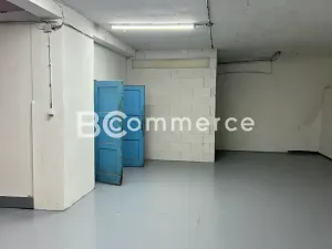 Pronájem výrobních prostor, Brno, 698 m2