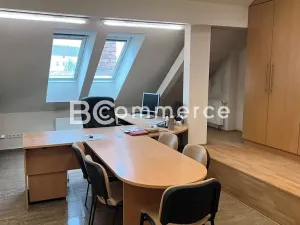 Pronájem výrobních prostor, Brno, 698 m2