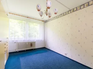 Prodej bytu 4+1, Litvínov - Janov, Luční, 90 m2