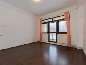 Prodej bytu 2+kk, Litvínov - Horní Litvínov, Koldům, 53 m2