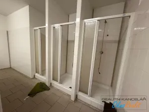 Pronájem výrobních prostor, Přerov - Přerov I-Město, Tovačovská, 200 m2