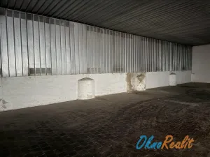 Pronájem skladu, Přerov - Přerov I-Město, Tovačovská, 200 m2