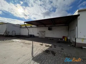 Pronájem výrobních prostor, Přerov - Přerov I-Město, Tovačovská, 200 m2