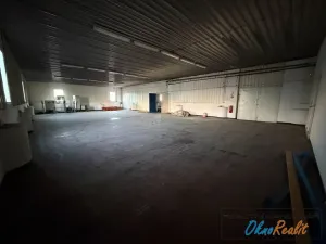 Pronájem výrobních prostor, Přerov - Přerov I-Město, Tovačovská, 200 m2