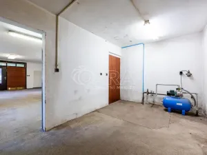 Prodej rodinného domu, Tlustice, 250 m2