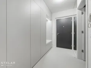 Pronájem bytu 2+kk, Ostrava - Moravská Ostrava, F. X. Riepla, 60 m2