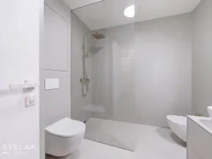 Pronájem bytu 2+kk, Ostrava - Moravská Ostrava, Důlní, 60 m2