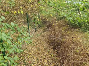 Prodej chaty, Černolice, V Dolečku, 38 m2