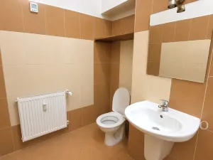 Pronájem bytu 3+kk, Písek - Pražské Předměstí, Pražská, 71 m2