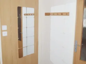 Pronájem bytu 1+kk, Plzeň - Bolevec, Rabštejnská, 32 m2