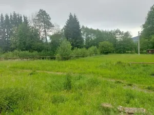 Pronájem ubytování, Písařov - Bukovice, 520 m2