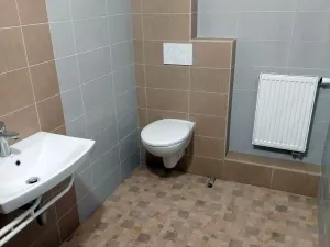 Pronájem ubytování, Písařov - Bukovice, 520 m2