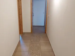 Pronájem ubytování, Písařov - Bukovice, 520 m2