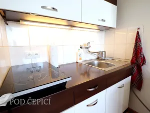 Pronájem bytu 1+kk, Brno, Halasovo náměstí, 24 m2