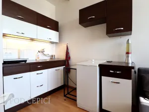 Pronájem bytu 1+kk, Brno, Halasovo náměstí, 24 m2