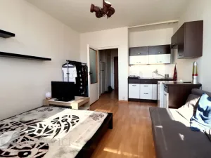 Pronájem bytu 1+kk, Brno, Halasovo náměstí, 24 m2