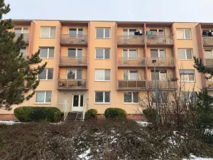 Pronájem bytu 2+1, Židlochovice, 56 m2