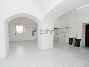Pronájem obchodního prostoru, Praha, Na losách, 120 m2