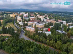 Prodej bytu 2+1, Horní Slavkov, Poštovní, 51 m2