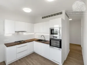 Prodej bytu 2+1, Praha - Michle, 53 m2