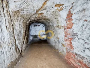 Prodej historického objektu, Horní Libchava, 782 m2