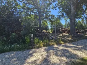 Prodej pozemku pro bydlení, Nová Cerekev - Chmelná, 982 m2