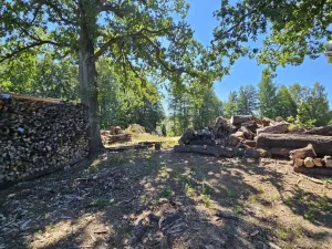 Prodej pozemku pro bydlení, Nová Cerekev - Chmelná, 982 m2