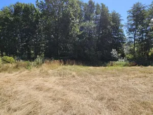 Prodej pozemku pro bydlení, Nová Cerekev - Chmelná, 982 m2