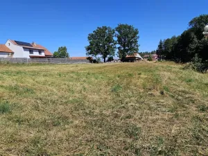 Prodej pozemku pro bydlení, Nová Cerekev - Chmelná, 982 m2