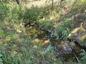 Prodej pozemku pro bydlení, Nová Cerekev - Chmelná, 955 m2