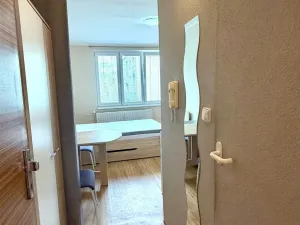 Pronájem bytu 1+kk, Cheb, Do Zátiší, 20 m2