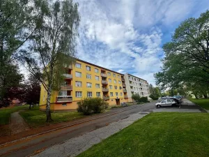 Pronájem bytu 1+kk, Cheb, Do Zátiší, 20 m2