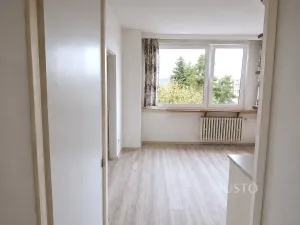 Pronájem bytu 1+1, Písek, třída Přátelství, 38 m2