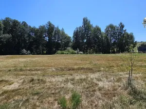 Prodej pozemku pro bydlení, Nová Cerekev - Chmelná, 955 m2