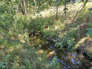 Prodej pozemku pro bydlení, Nová Cerekev - Chmelná, 955 m2