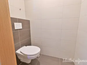 Pronájem bytu 1+kk, Brno, Bělohorská, 38 m2