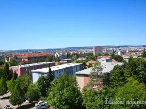 Pronájem bytu 1+kk, Brno, Bělohorská, 38 m2