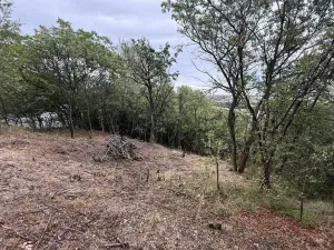 Prodej zahrady, Brandýsek, 464 m2