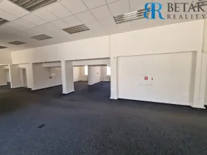 Pronájem obchodního prostoru, Přerov - Přerov I-Město, Žerotínovo nám., 373 m2