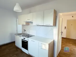 Pronájem bytu 2+1, Dobřany, Stromořadí, 60 m2