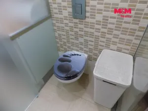 Prodej bytu 1+kk, Králův Dvůr - Počaply, Pod Dálnicí, 24 m2