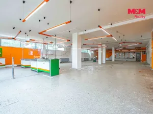 Prodej obchodního prostoru, Český Těšín, Slezská, 900 m2