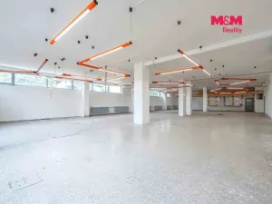 Prodej obchodního prostoru, Český Těšín, Slezská, 900 m2