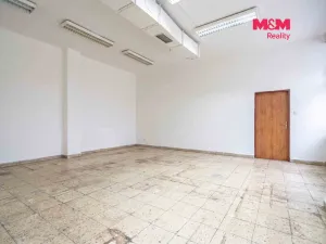 Prodej obchodního prostoru, Český Těšín, Slezská, 900 m2
