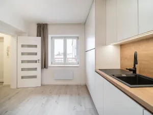 Prodej bytu 1+1, Brno, Cejl, 50 m2