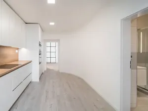 Prodej bytu 1+1, Brno, Cejl, 50 m2
